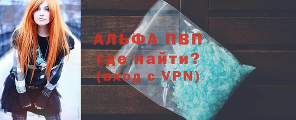 индика Володарск