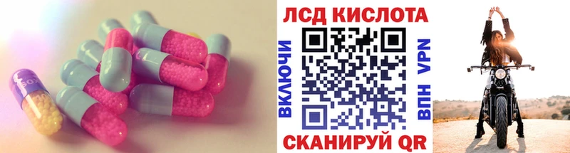 kraken вход  Тверь  Лсд 25 экстази кислота 