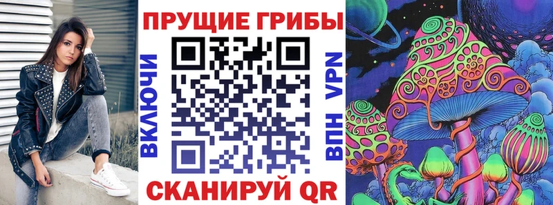 Псилоцибиновые грибы Psilocybine cubensis Тверь