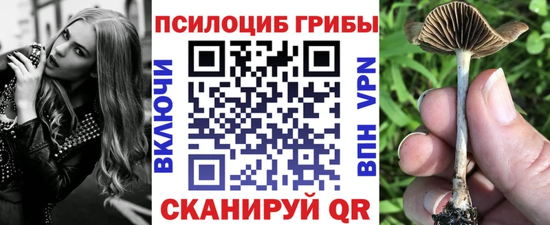 где можно купить наркотик  Тверь  Галлюциногенные грибы прущие грибы 
